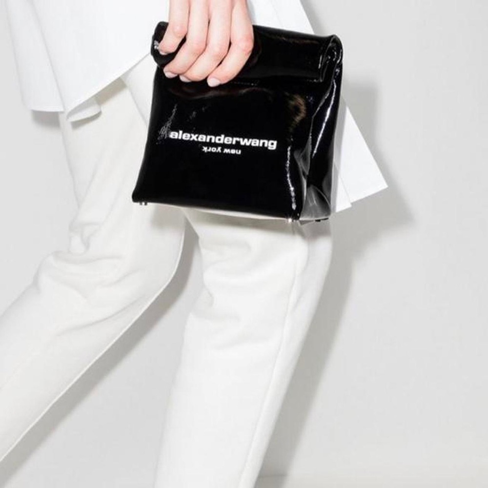 Alexander wang lunch box bag